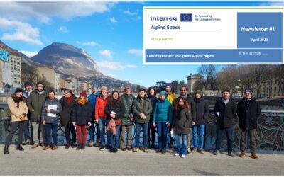 Here is the FIRST issue of ADAPTNOW E-Newsletter!