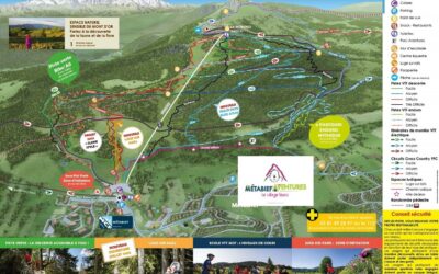 The Future of Alpine Ski Resorts: the Example of Métabief