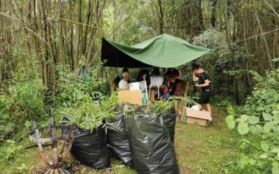 Removing invasive species at I-SWAMP project sites in the Karawanke UNESCO Global Geopark!