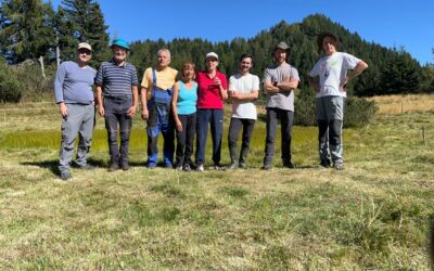 Restoration in action: I-SWAMP mowing and fencing wetland sites with volunteers