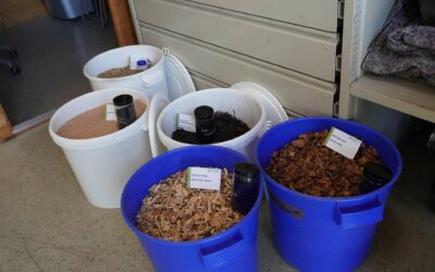 The various opportunities of biochar