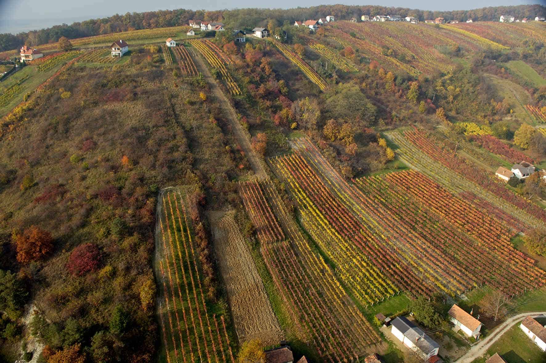 Naturpark in der Weinidylle_1 (1)